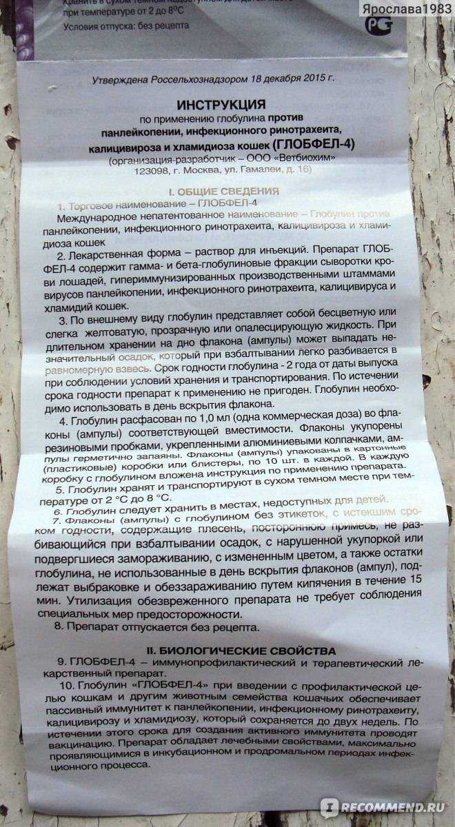 Глобфел-4 для кошек: инструкция по применению, отзывы, аналоги препарата