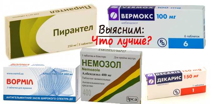 Обзор препаратов для кошек от глистов
