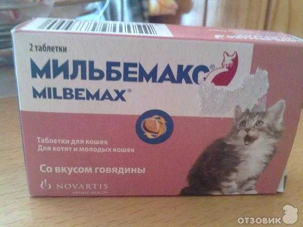 Как давать фуразолидон кошке?