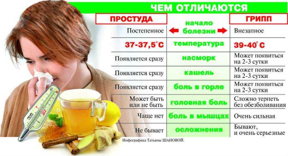 Сколько собака может прожить без еды – можно ли оставлять собаку без еды
