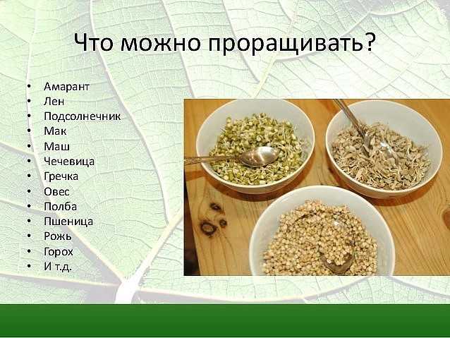 Можно ли кормить кота кашей с мясом