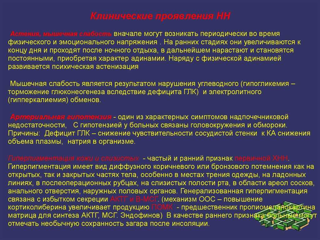 Что такое парез задних конечностей у собак? прочтите, это важно!