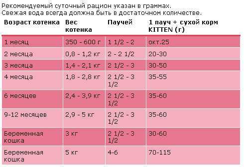 Чем кормить котёнка в 1,2, 3 месяца и старше