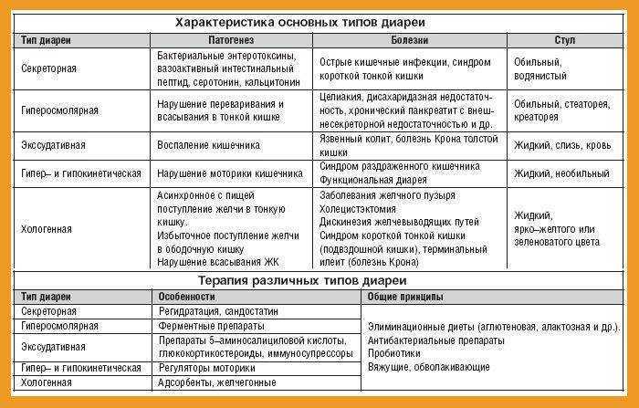 Понос у котенка - что делать?