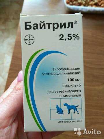 Инструкция по применению антибиотика «байтрил» для кошек