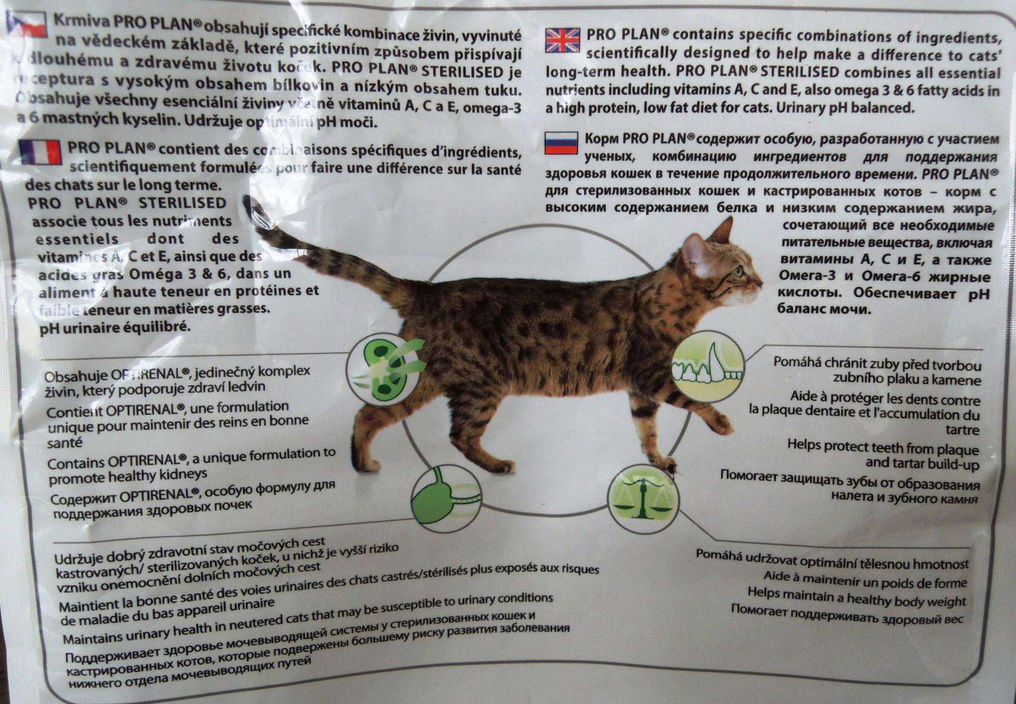 После стерилизации кошки через сколько можно кормить. Кот для кастрированных котов. Мочегонное для кастрированных котов. Кастрированный кот вес. Вес кота для стерилизации.