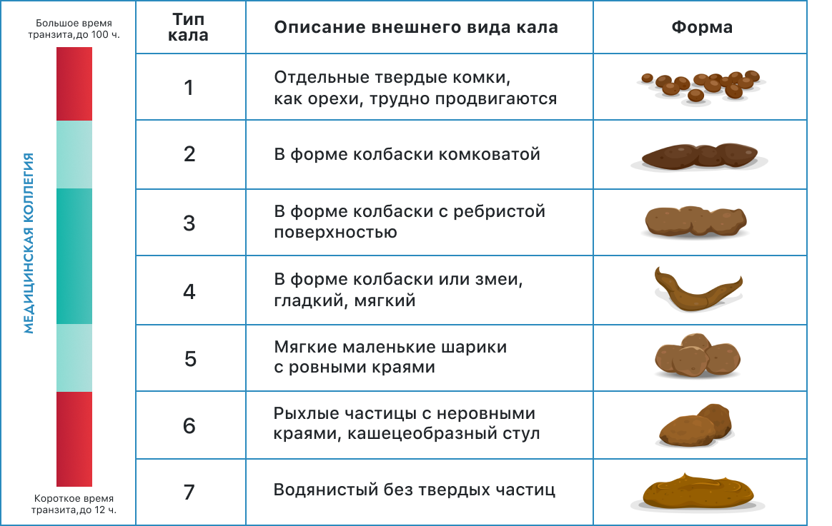 Что случится с любимой собакой, если она сьест кошачий корм