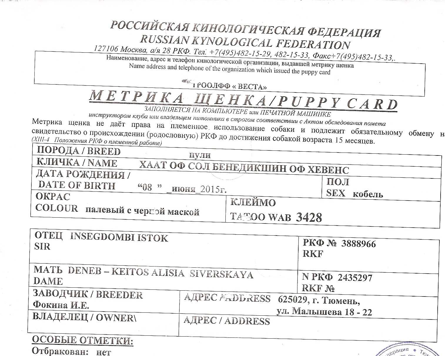 Документы ркф на собаку: что это, какие обязательные, зачем нужны