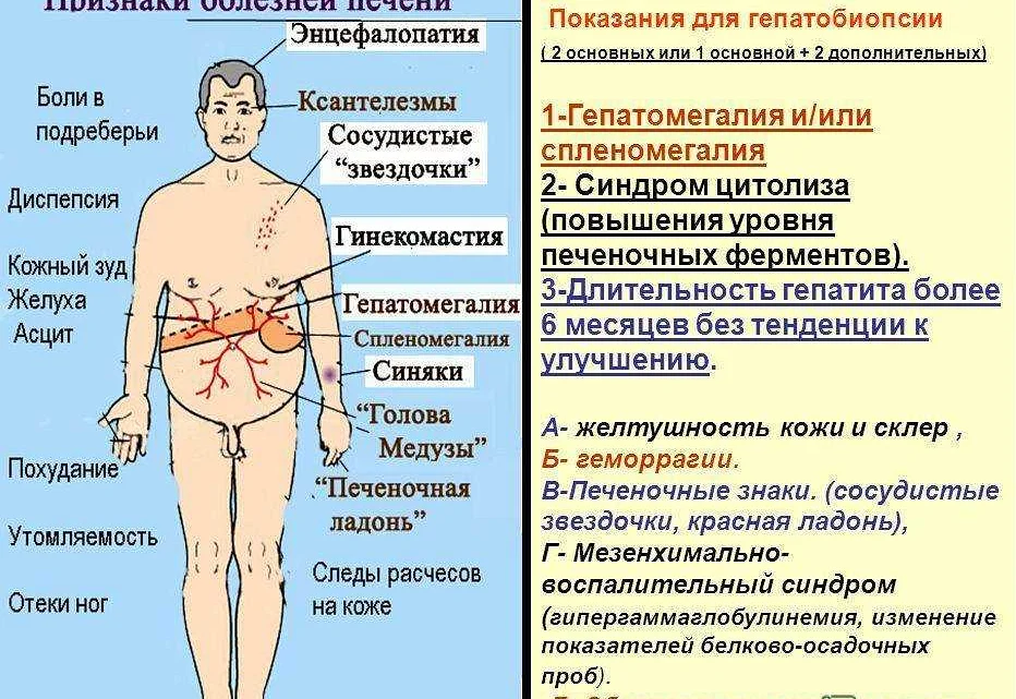 Эссенциале для кота