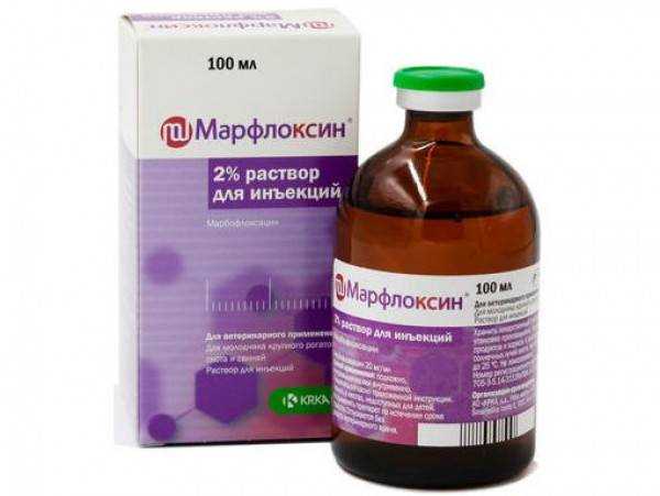 Марфлоксин: уколы и таблетки для лечения инфекционных заболеваний кошек, собак и продуктивных животных