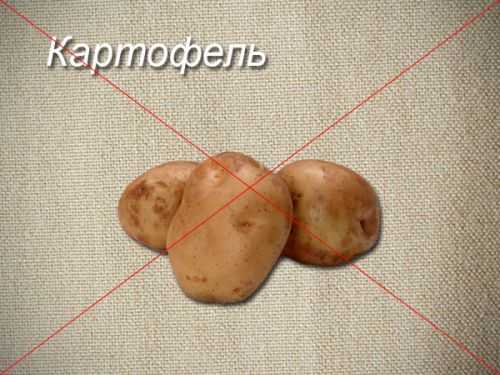 ᐉ можно ли хомякам укроп и петрушку - zoopalitra-spb.ru