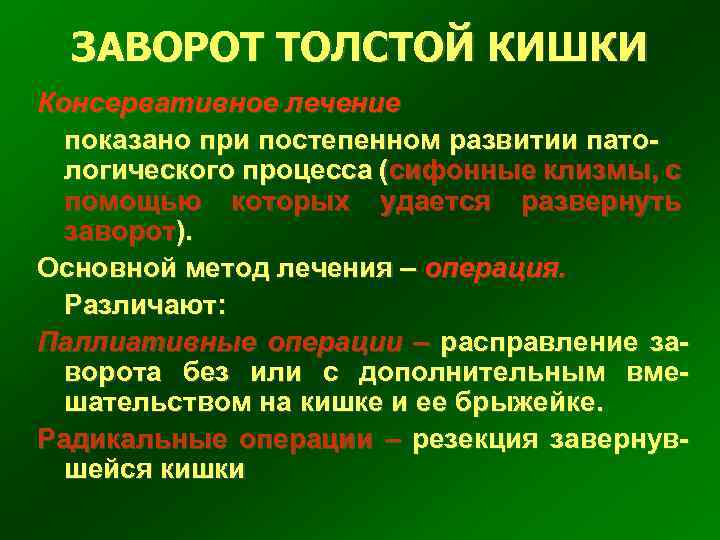 Заворот кишок у собаки, кошки: симптомы, признаки, лечение