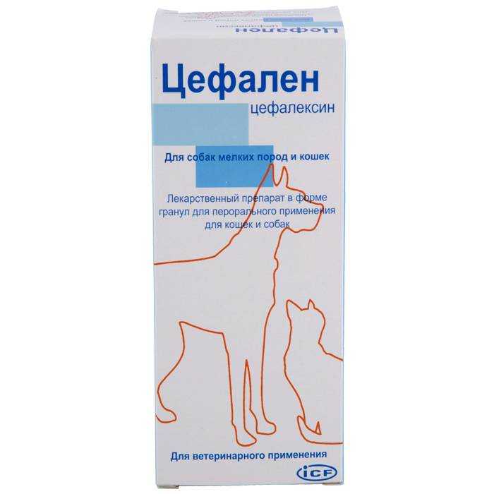 Инструкция по применению цефалексина у собак, кошек и др. видов животных. изучите широту антибактериального эффекта цефалексина в ветеринарной медицине. рассчитайте оптимальную дозу препарата