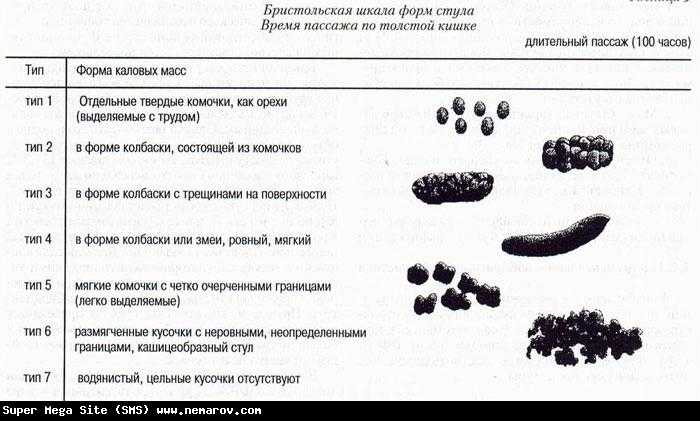 Самые распространенные проблемы с пищеварительной системой у собак
