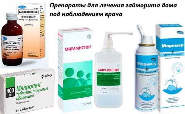Гайморит у кошек: лечение, симптомы, осложнения