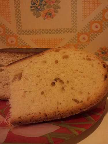 Каша для щенка: какую можно давать (пшенную, манную, овсяную, молочную), как ее варить - рецепты и стоит ли вообще ею кормить малыша?