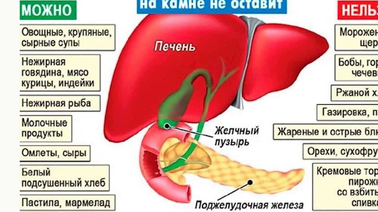 Часто встречающиеся заболевания печени у кошек: симптомы и лечение