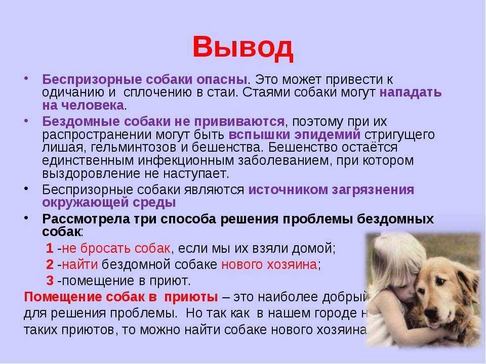 Почему собака худеет, если хорошо ест, на сухом корме, при хорошем аппетите - блог о животных - zoo-pet.ru