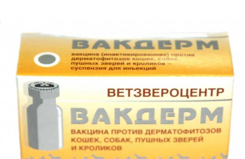 «вакдерм» для кошек: состав, инструкция по применению