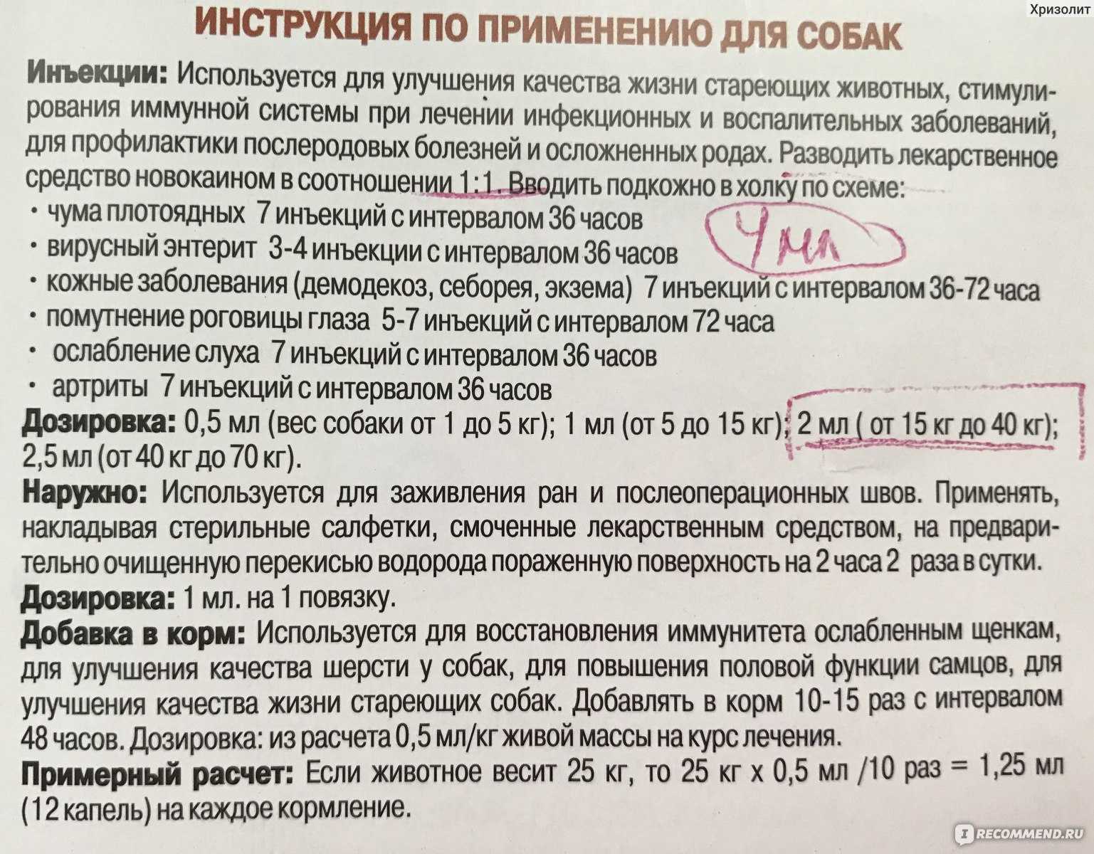 Когда применяется трихопол для кошек