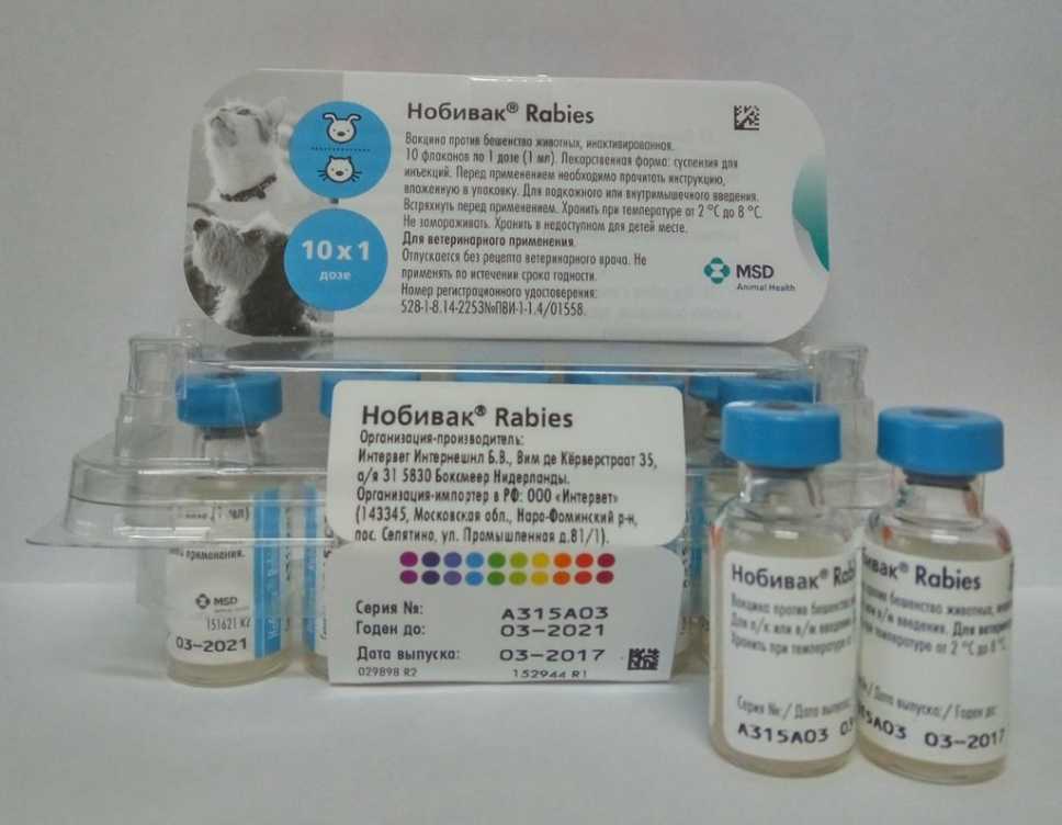 Гексаканивак для собак: инструкция по применению вакцины с дозировкой и аналогами. можно ли делать прививку щенку?