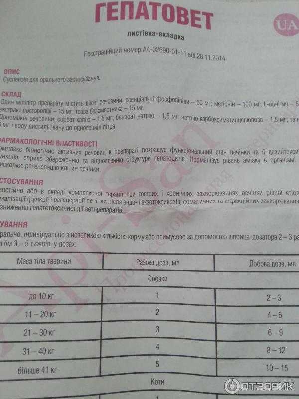 Гепатовет для собак