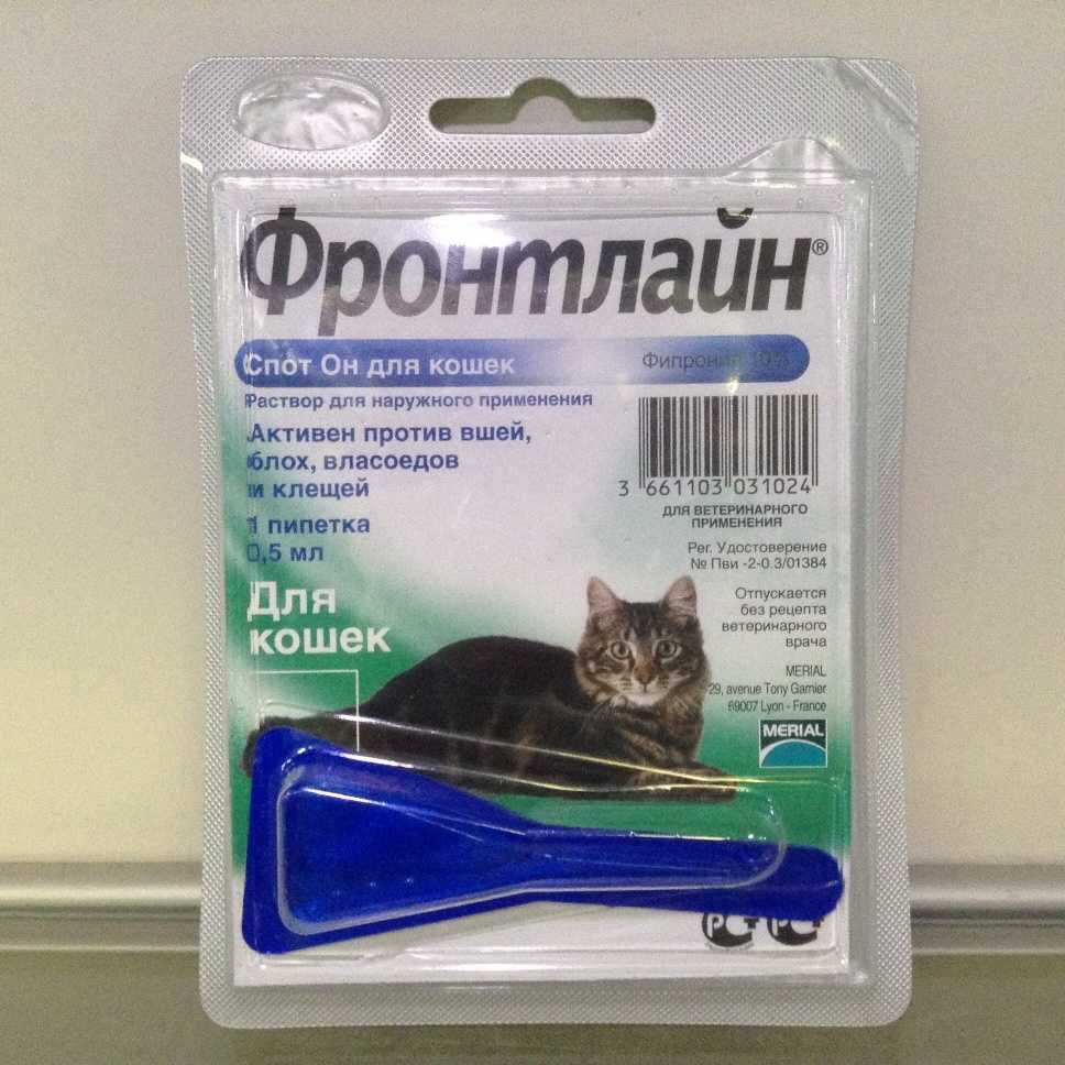 Описание препарата фронтлайн для кошек
