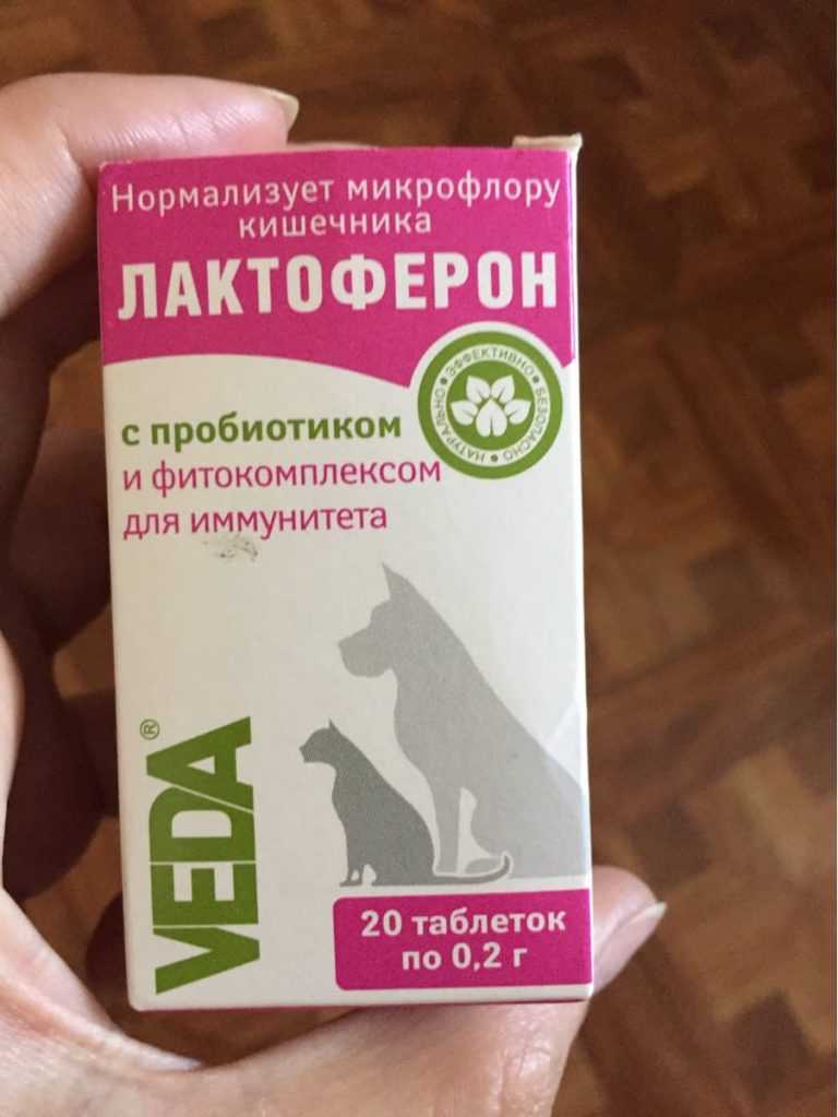 Препарат фелиферон для кошек. фелиферон для кошки: показания и противопоказания, инструкция по применению
