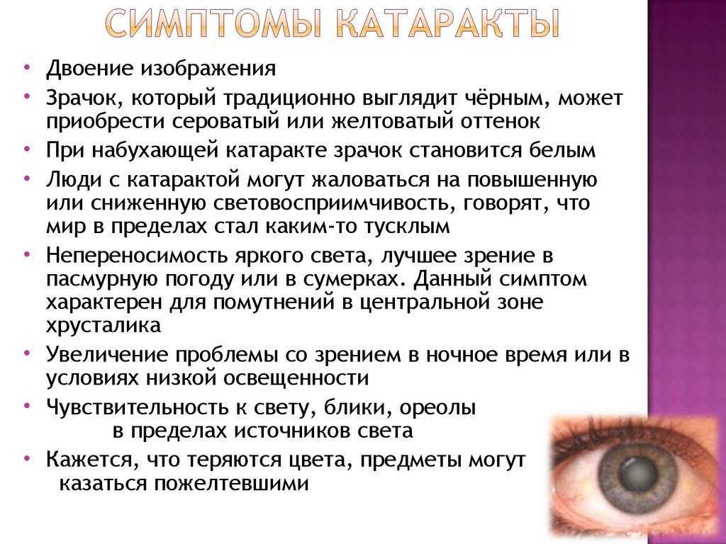 Глаукома у собак