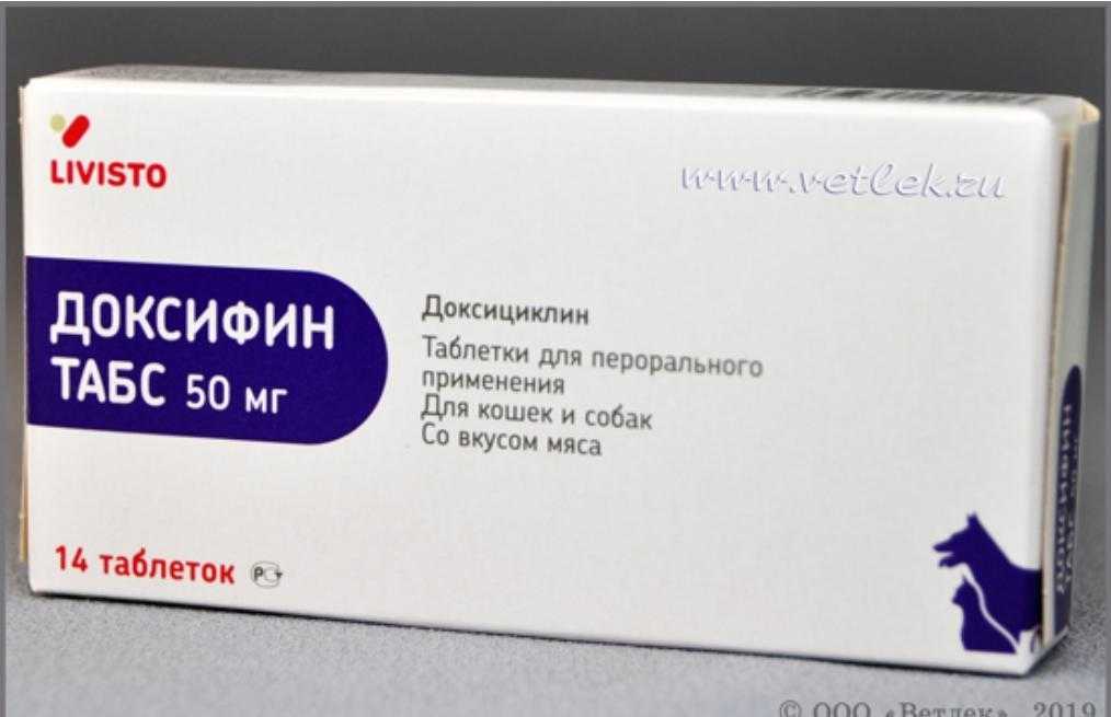 Доксициклин для собак и кошек - инструкция, дозировка