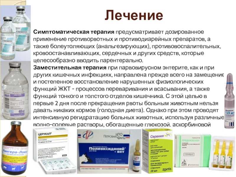 Тошнота: почему может тошнить целый день или несколько дней подряд. тошнота по ночам. частые приступы тошноты.