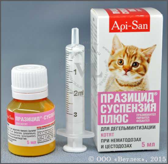 Энтерофурил для кота при поносе
