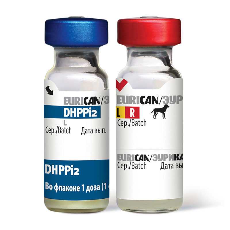 Вакцина для собак с 3 месяцев eurican dhppi2-lr (живая вакцина+растворитель)