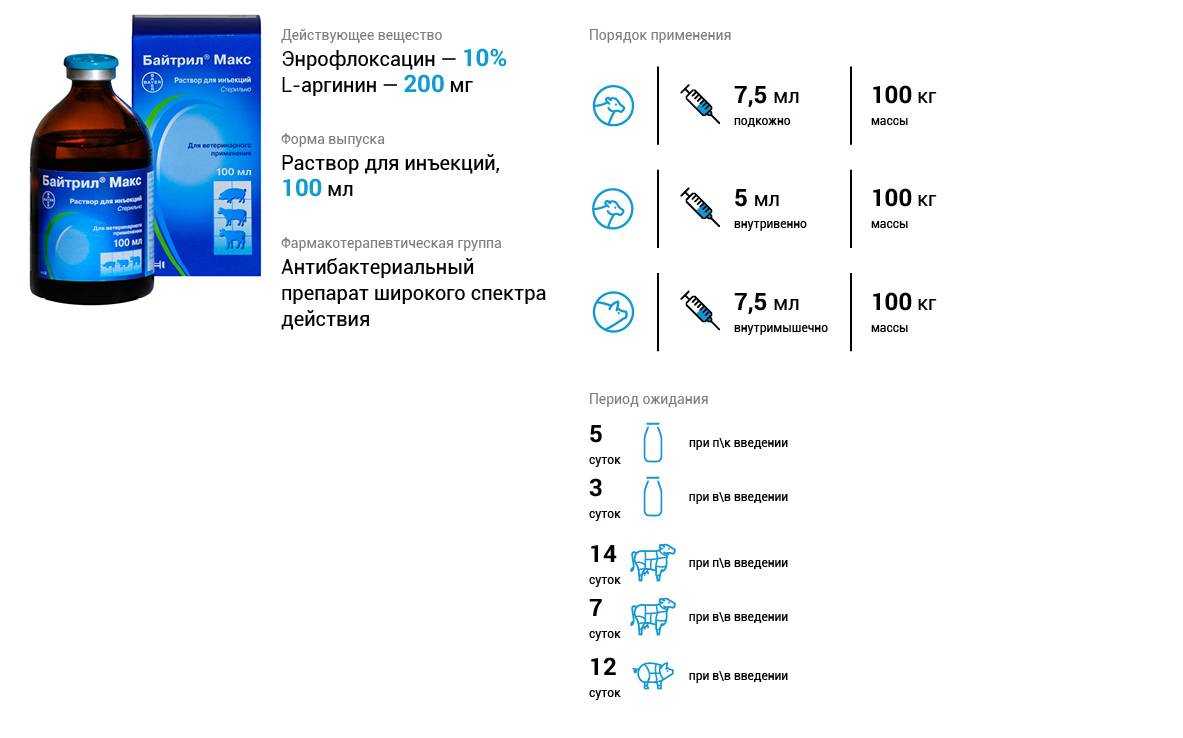 Байтрил для кошек: инструкция по применению + отзывы и побочные действия лекарства