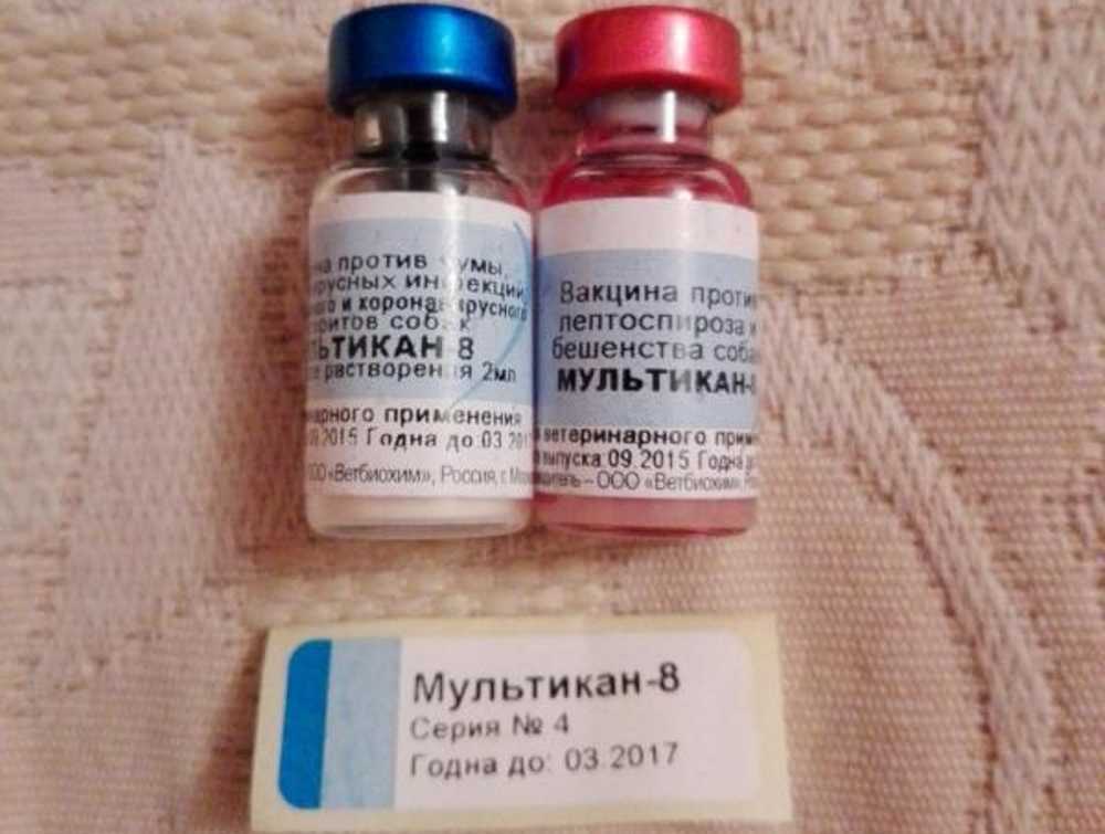 Мультикан 8 для собак