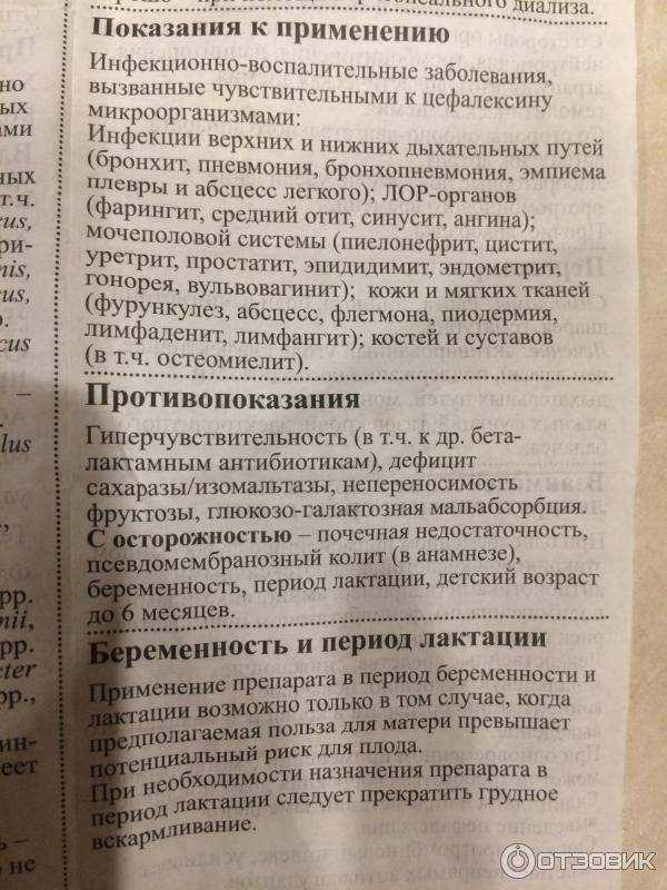 Антибиотики для кошек широкого спектра действия – типы препаратов и дозировка