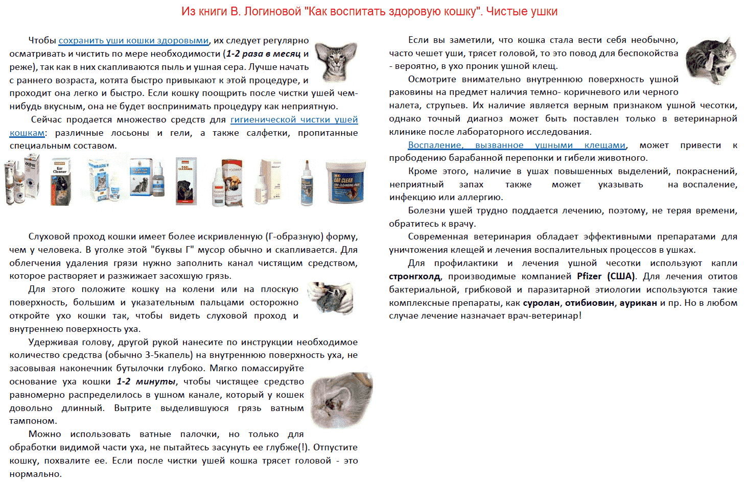 Отодектоз у кошек: что это такое, симптомы, лечение в домашних условиях, капли, препараты