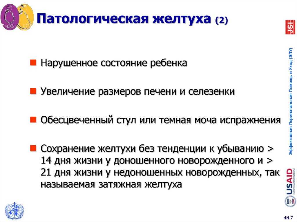 Амилоидоз почек: лечение, симптомы, диагностика, причины, прогноз