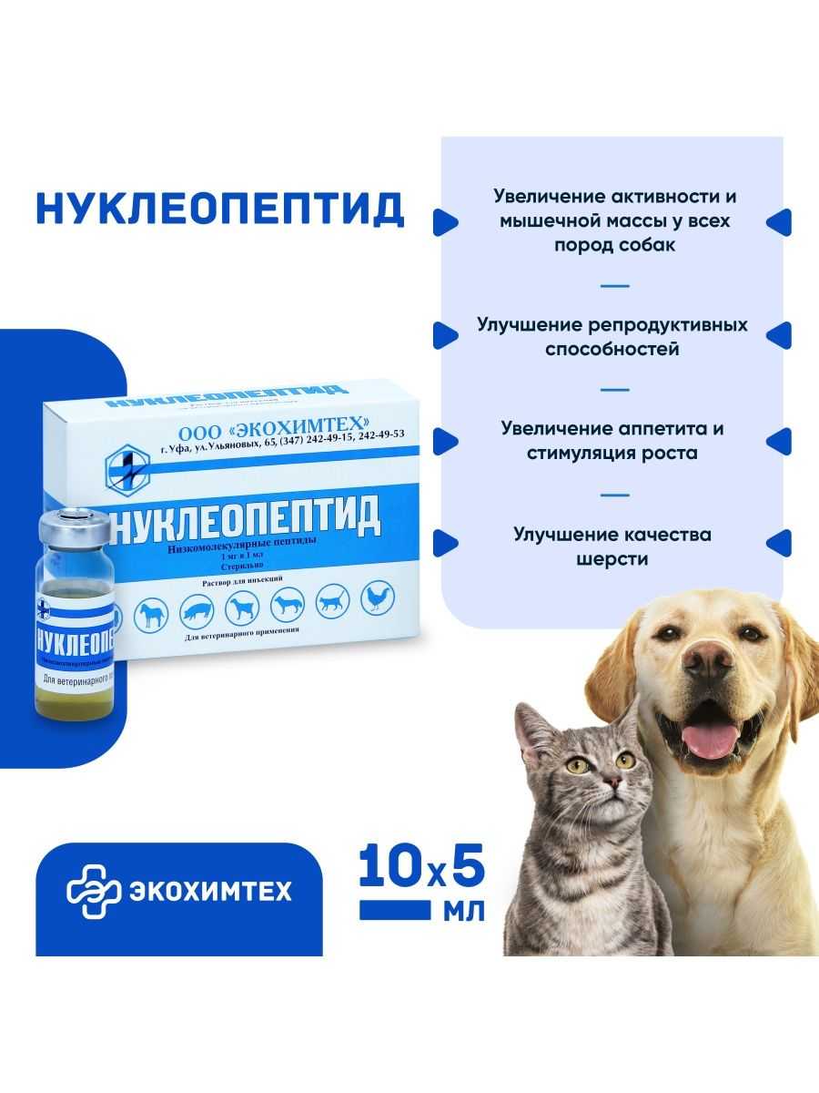 Нуклеопептид для собак: высокоэффективная биологическая добавка