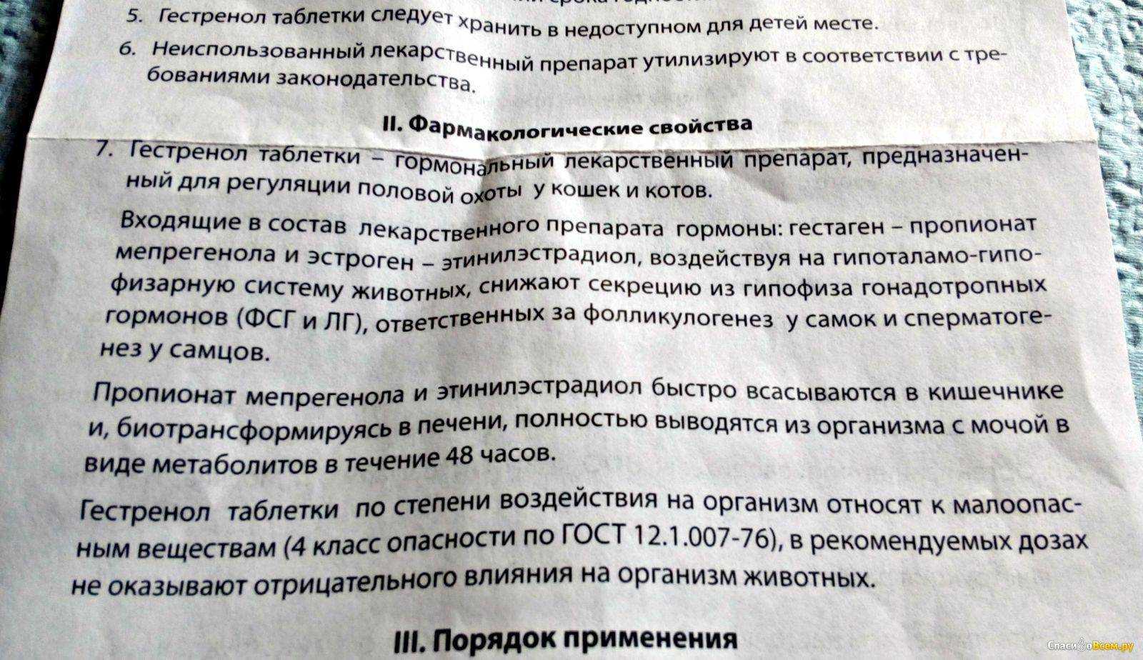 Гептрал: инструкция к применению у кошек │ фармакотерапия  │ гептрал коту