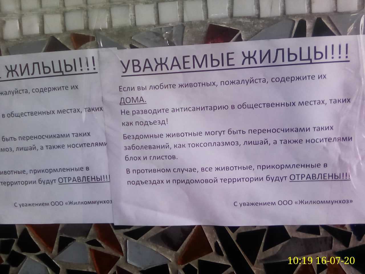 Как отвадить котов метить дверь: лучшие способы и методы, как отучить уличных кошек