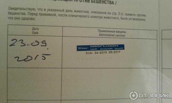 Поможет ли сыворотка гискан-5 для собак избежать опасных болезней?