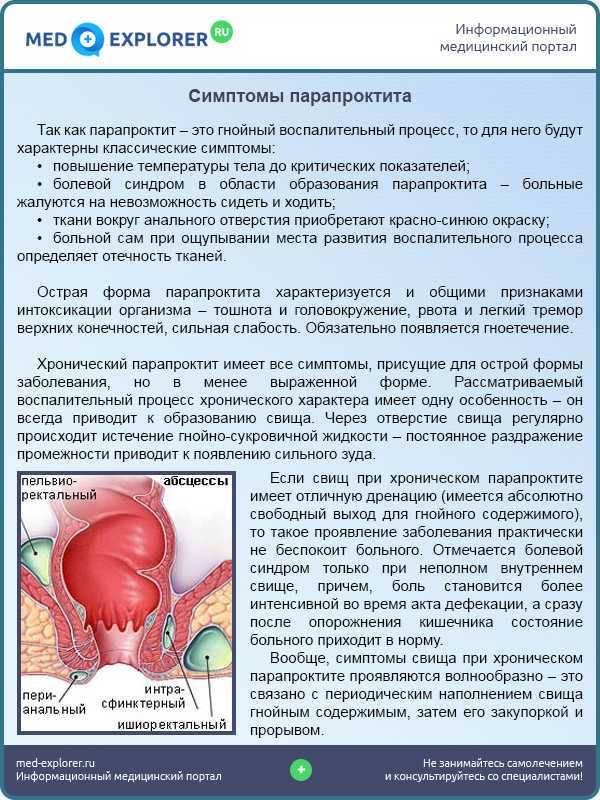 Воспаление параанальных желез у кошки и лечение заболевания