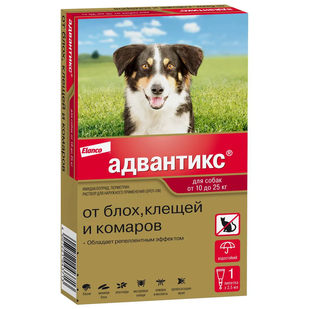 Топ-7 лучших капель от блох и клещей для кошек и собак