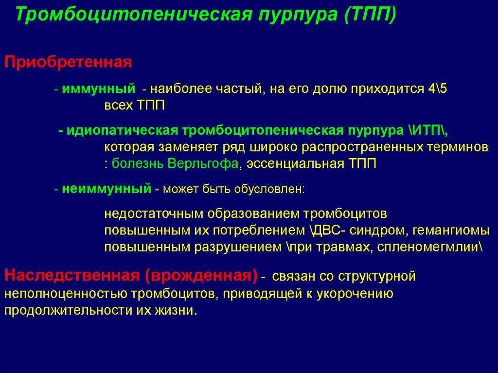 Низкие тромбоциты у собак: что это такое, симптомы, диагностика и уход | мир собак