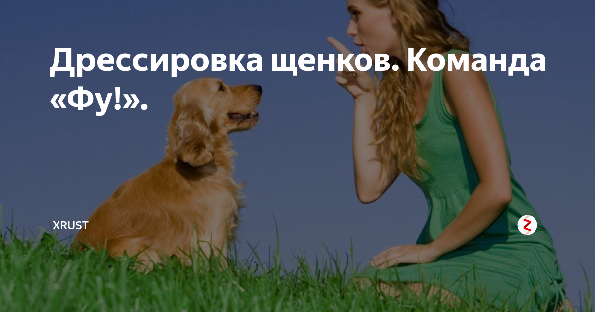 Как научить собаку или щенка команде «фу!» или она же «нельзя!»