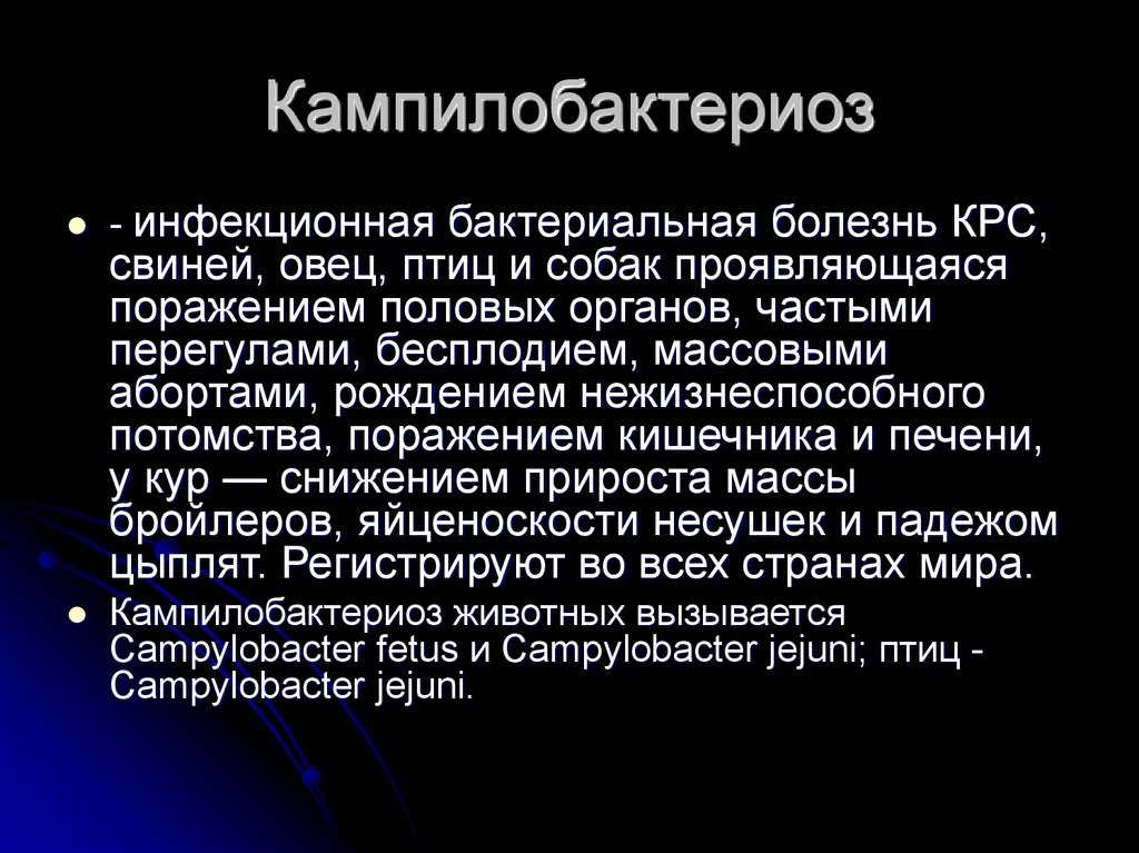 Гастроэнтерология собак и кошек (принципы, диагностика, терапия)