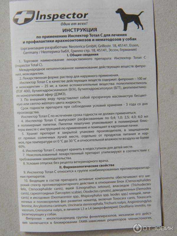 Форвет для кошек: инструкция по применению иммуномодулирующего препарата