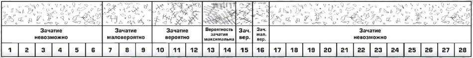 Могут ли собаки болеть во время течки? путеводитель по собакам ми