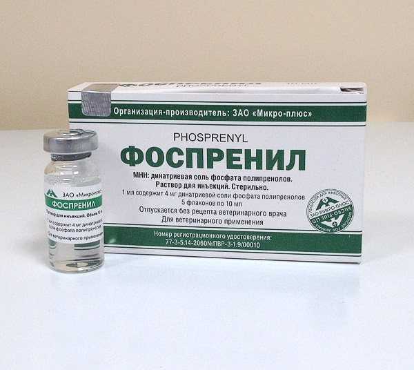 Папиллома у собак